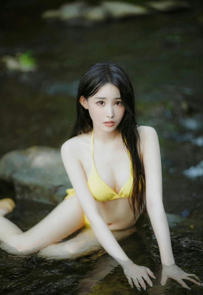 鹿鼎记 封面